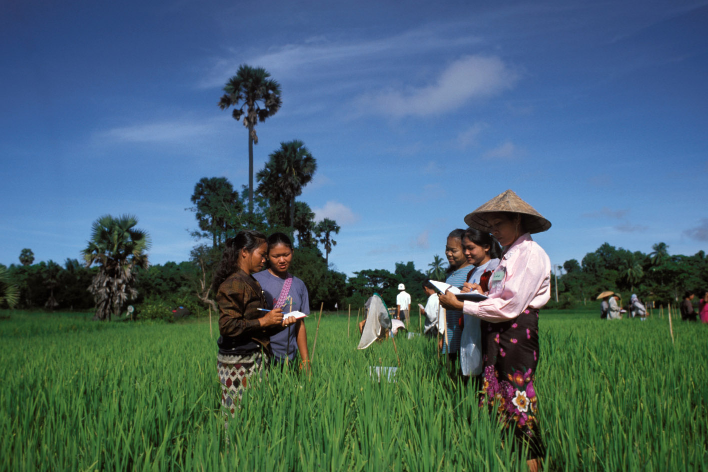 Researchers working in a field