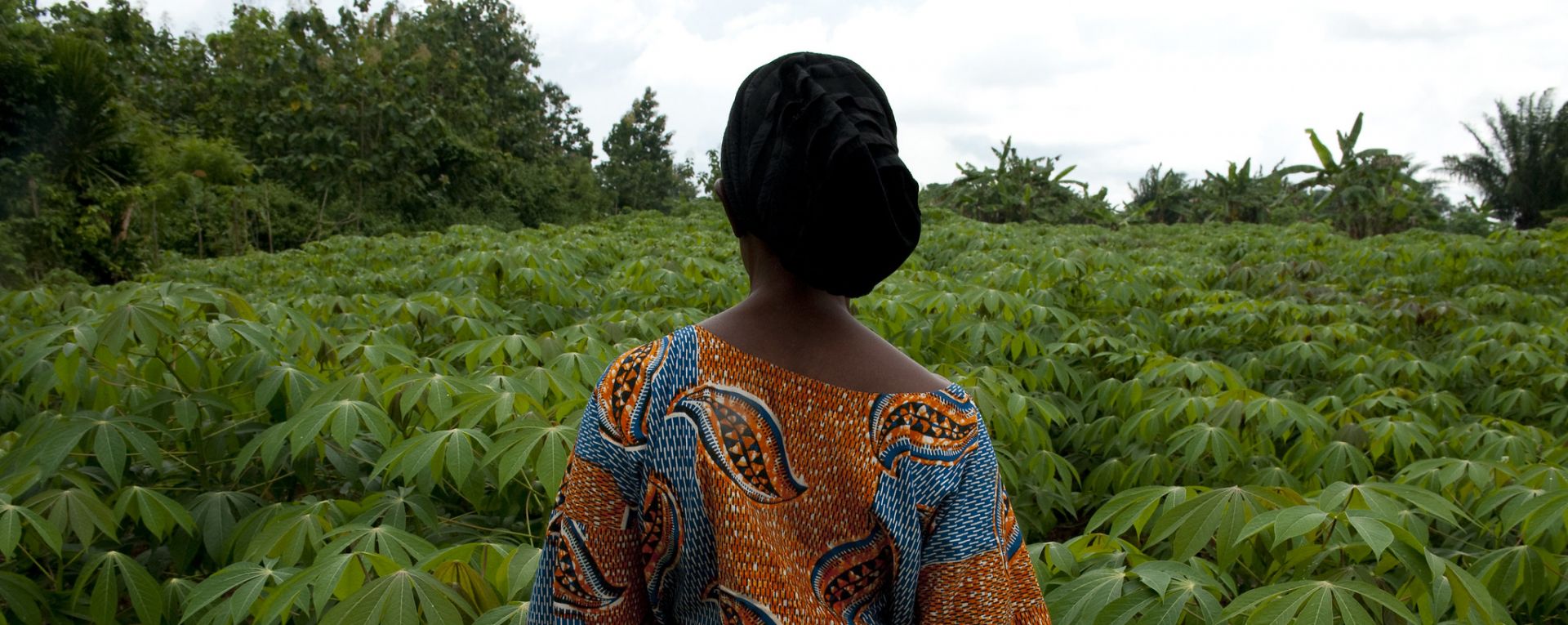 Woman looking out at crops