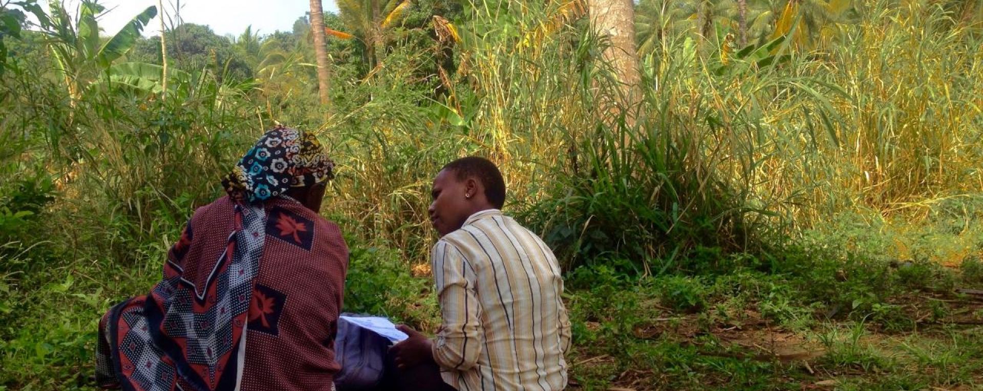 Researchers working in a field