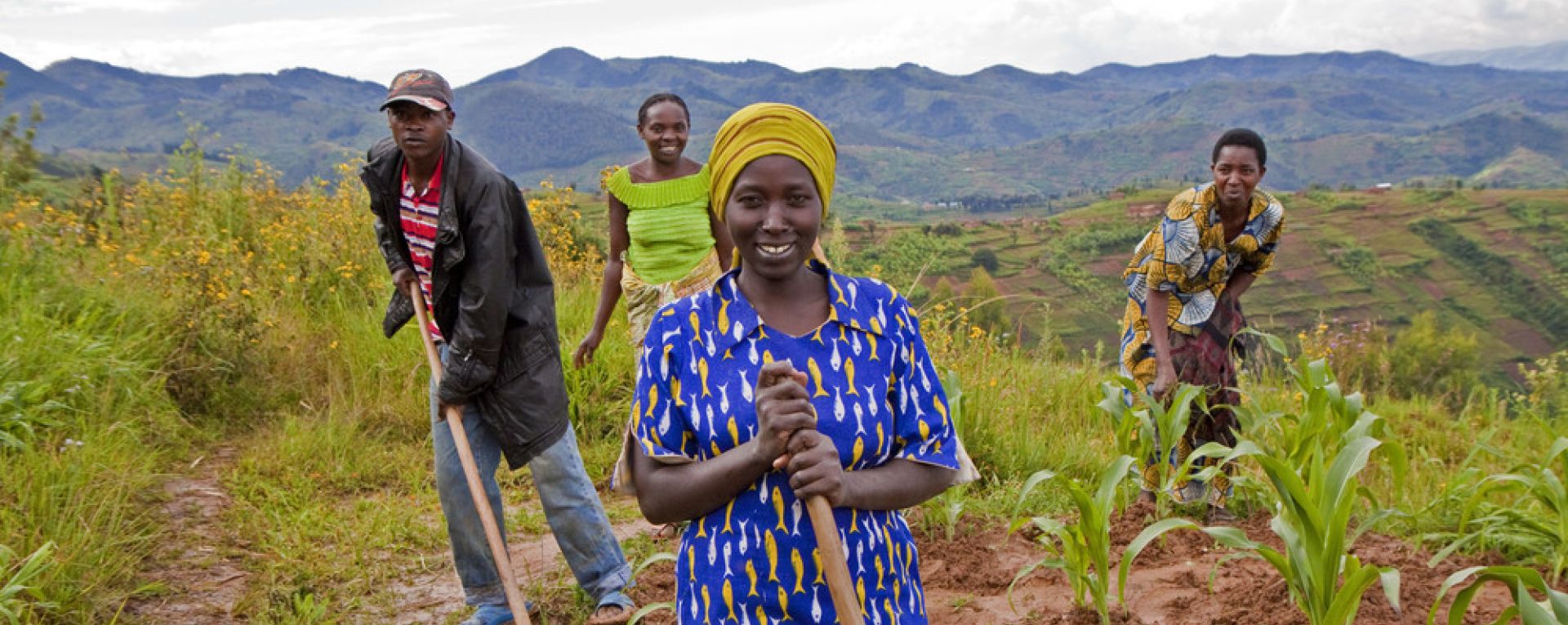 Farmers working in a crop field