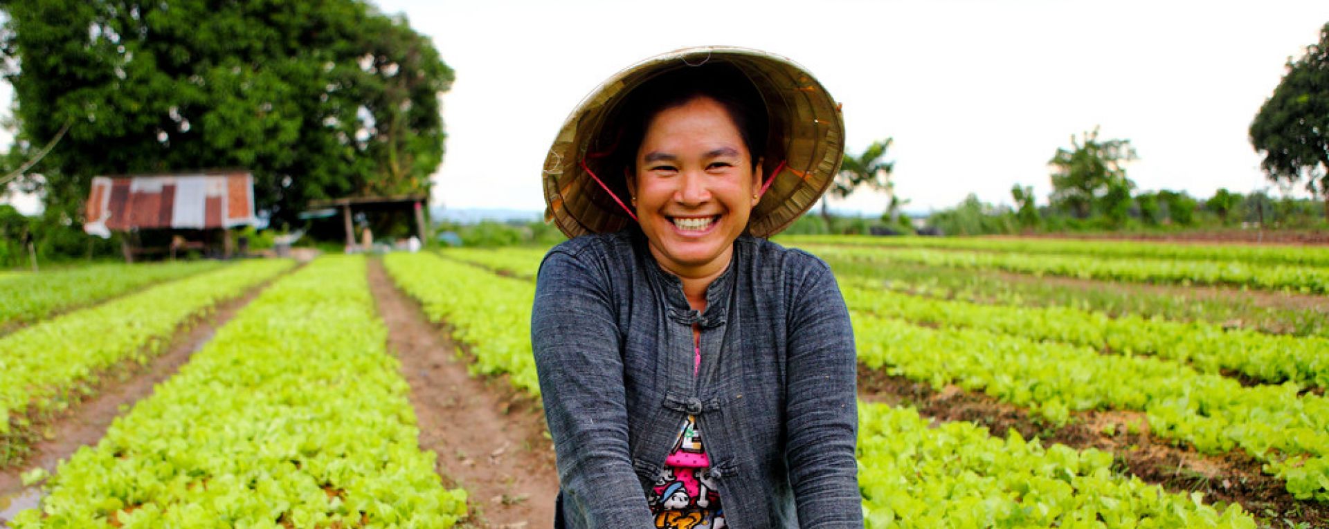 Woman with basket harvesting crops