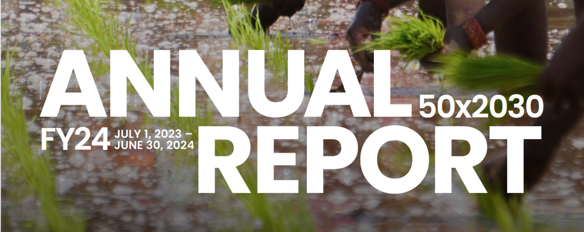 50x2030 annual report cover