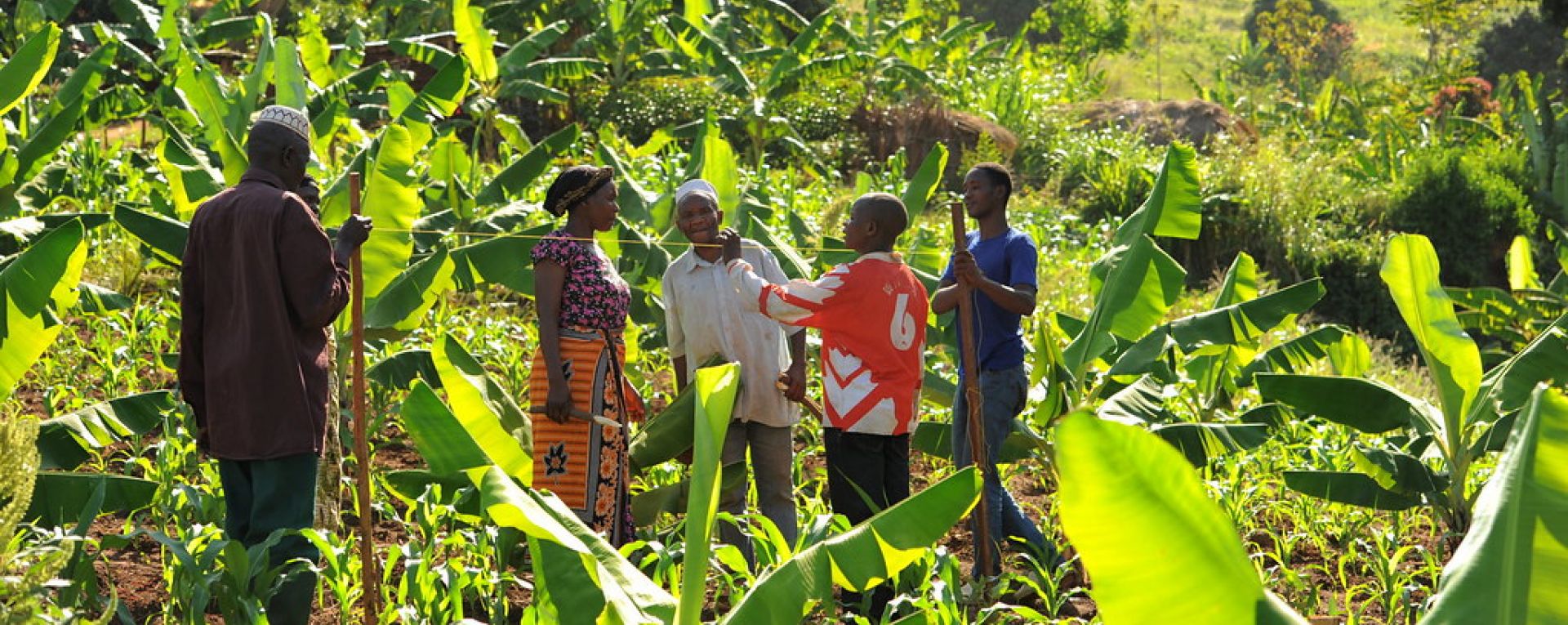 Surveyers in field