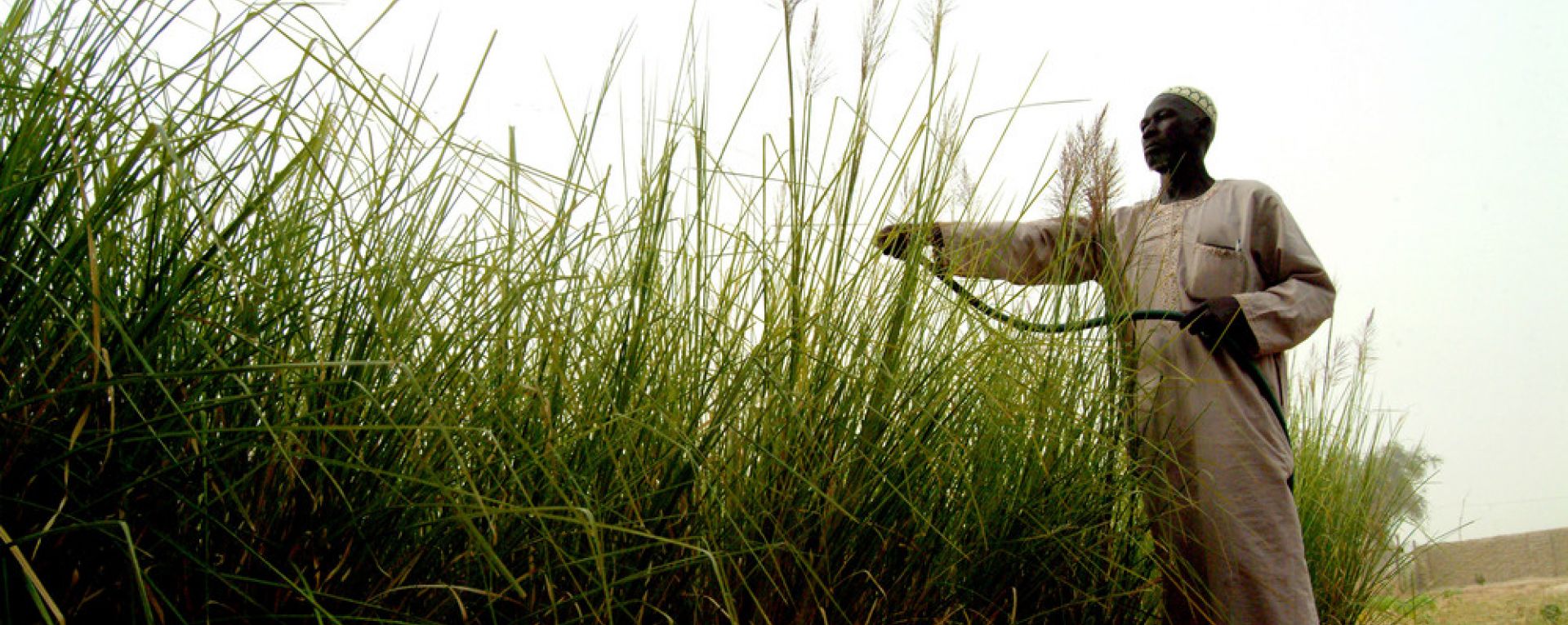 Farmer watering crops