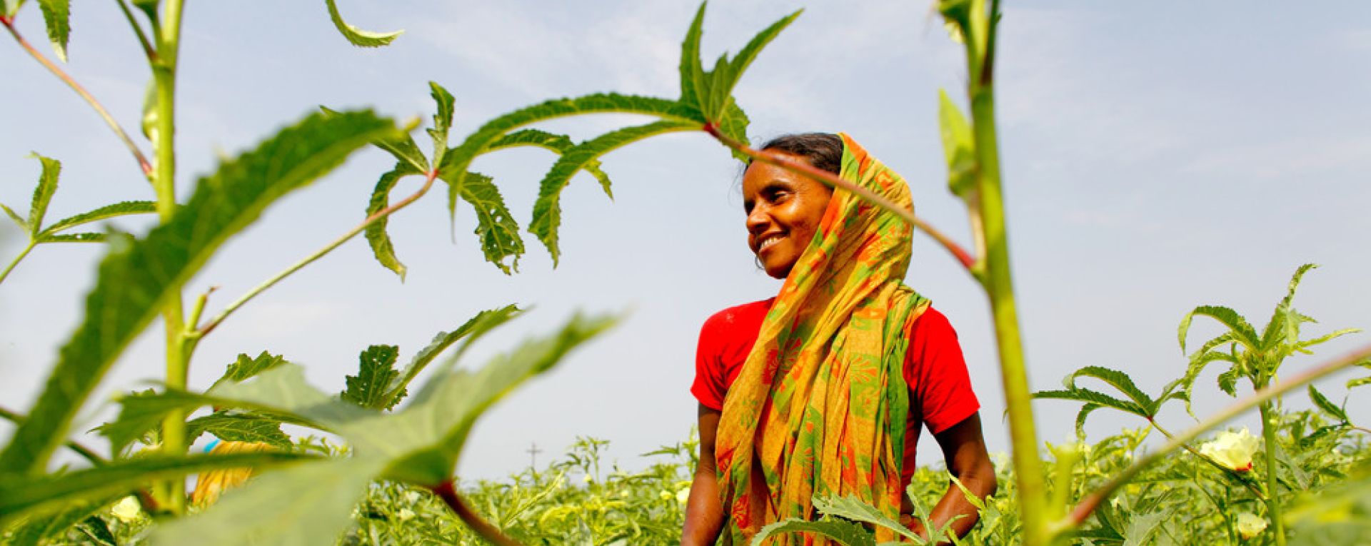 Woman in field