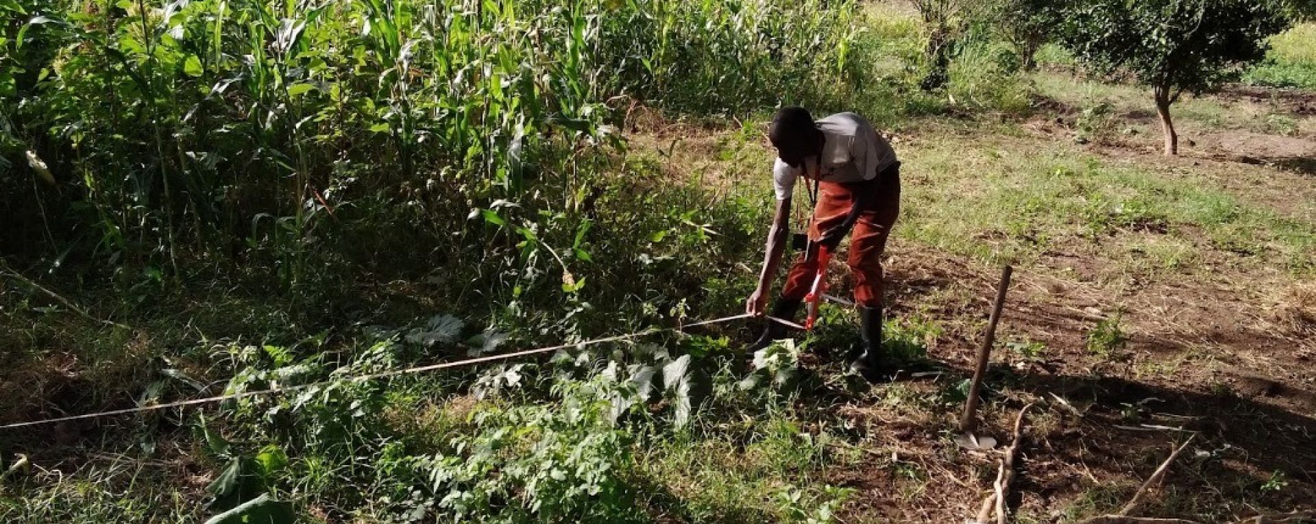 Man collecting data in a field