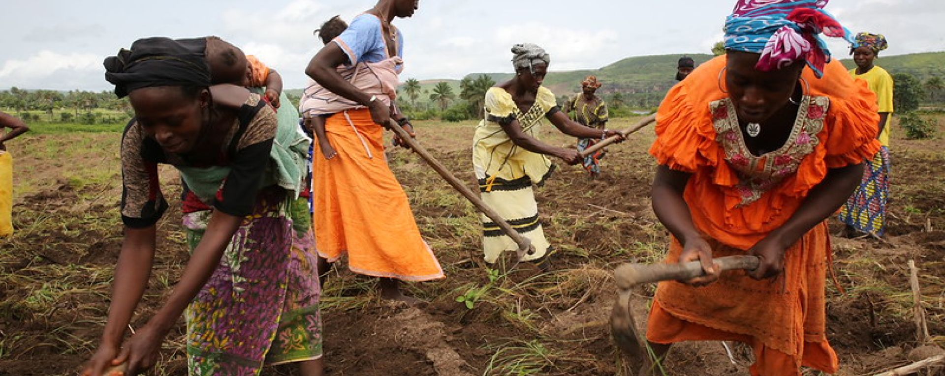 Women working in a field