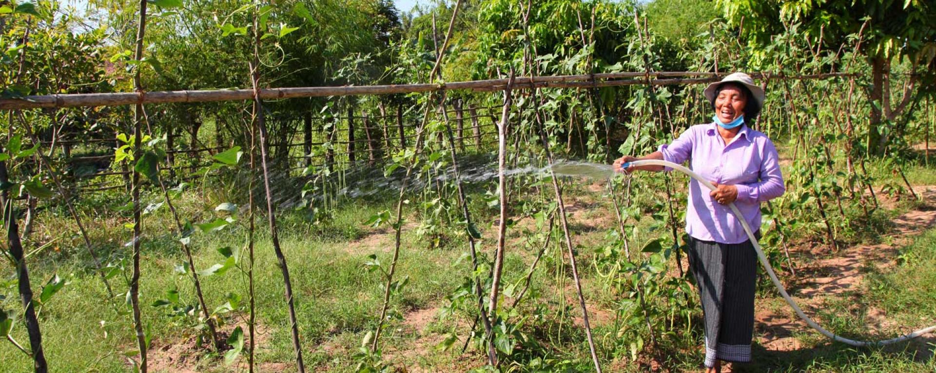 Cambodian farmer watering crops