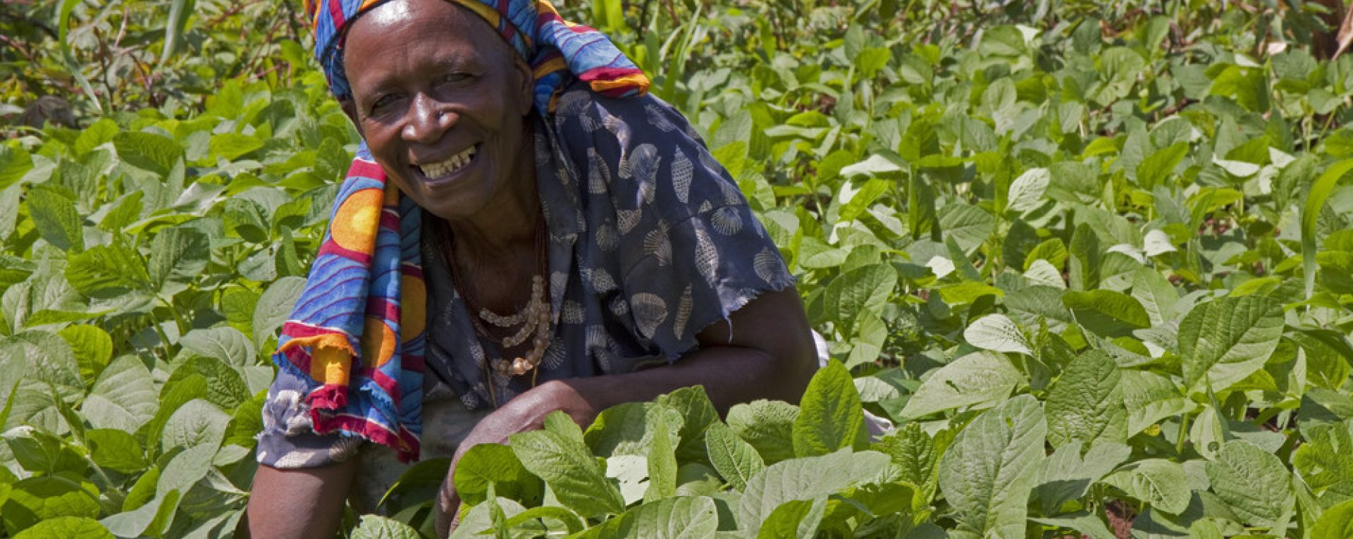 Woman standing in a crop field