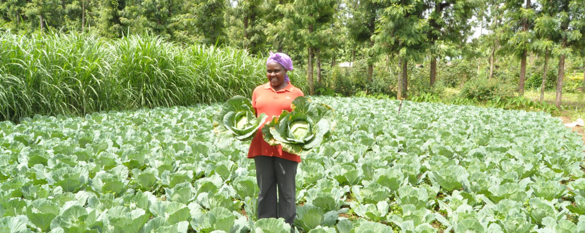 Woman standing in a field