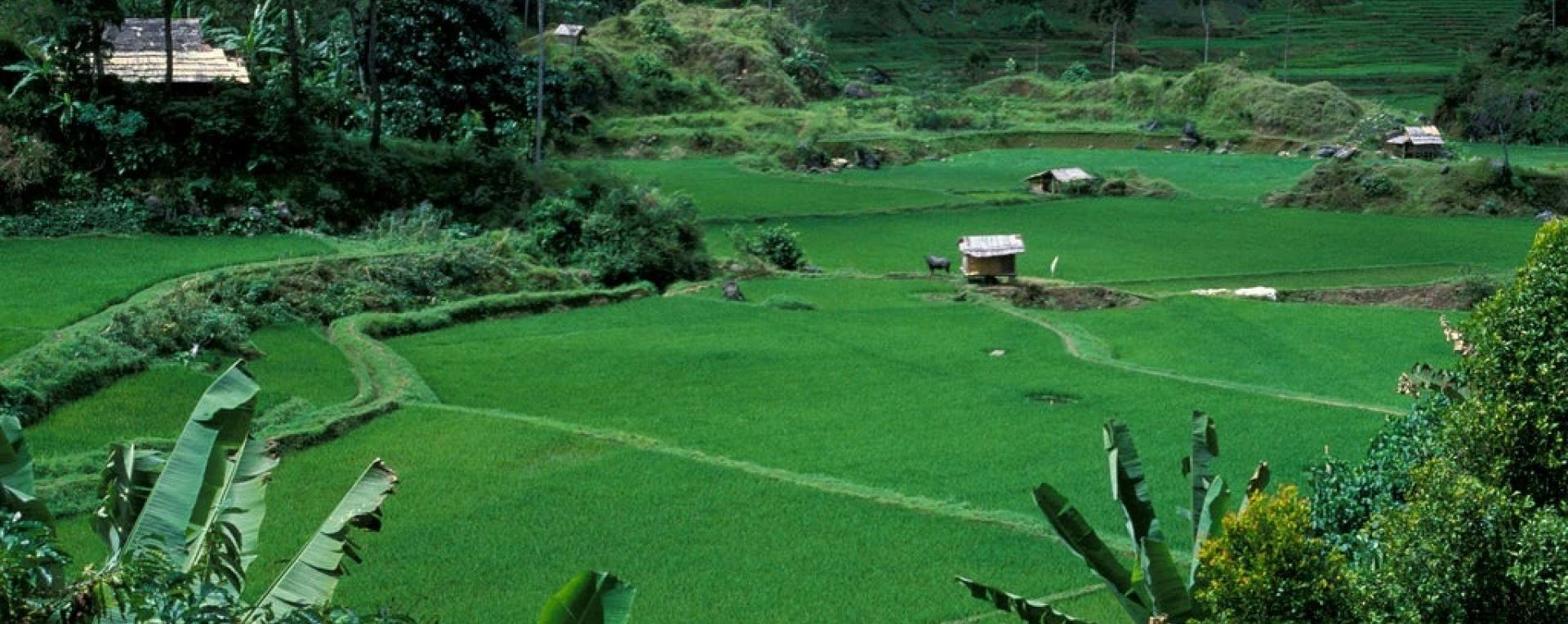 Farm land