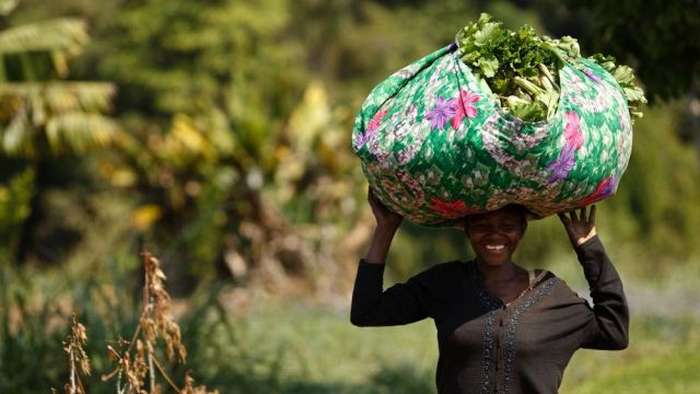 Woman carrying sack of crops