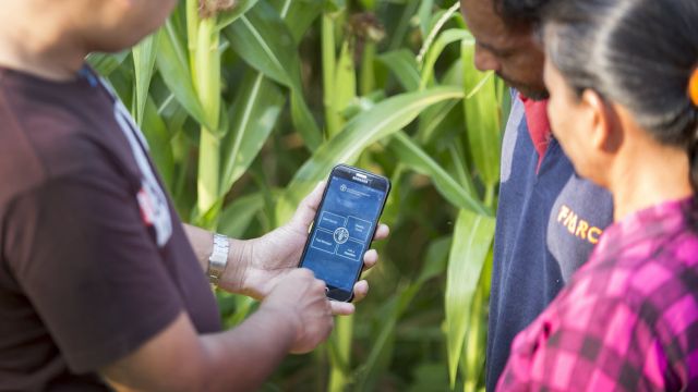 People looking at a phone survey