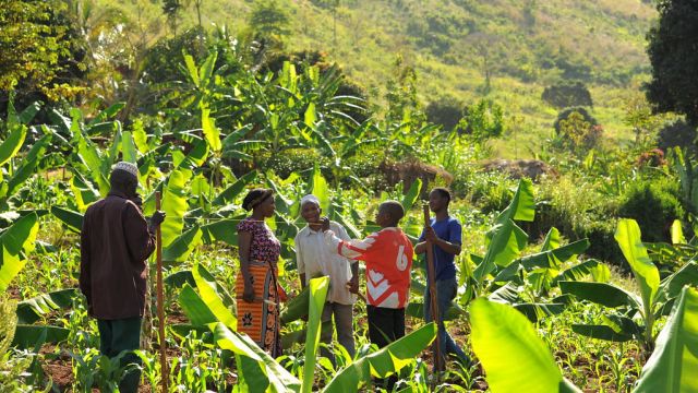 Surveyers in field