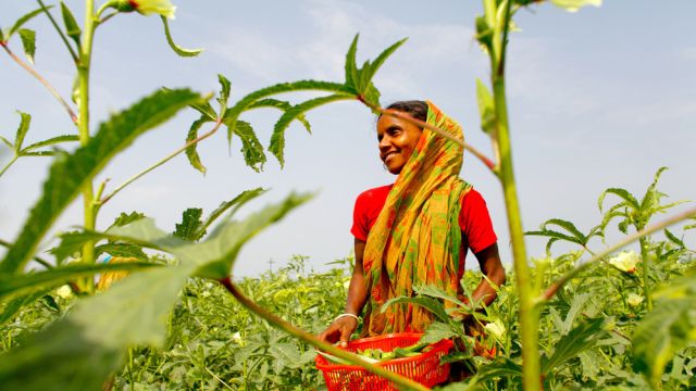 Woman in field