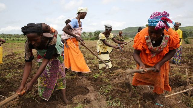 Women working in a field