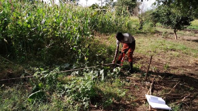Man collecting data in a field